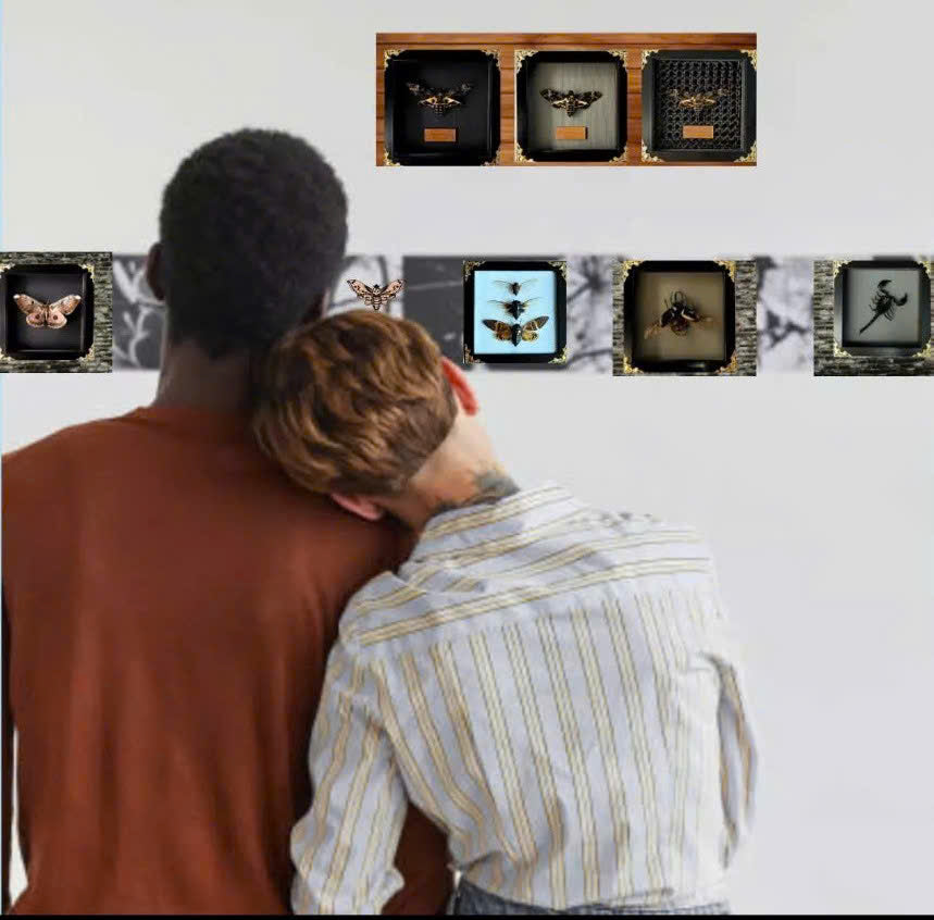 FRA24-Decorative Frame with Real Death’s-head Moth (Acherontia lachesis)