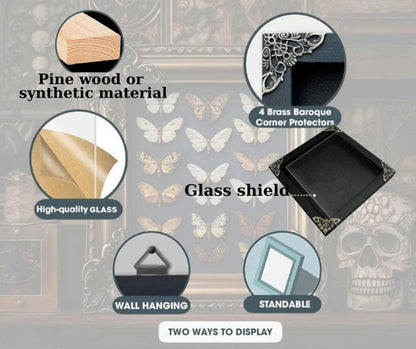 FRA17-Decorative Frame with Real Salassa thespis Moth – Natural Insect Specimen